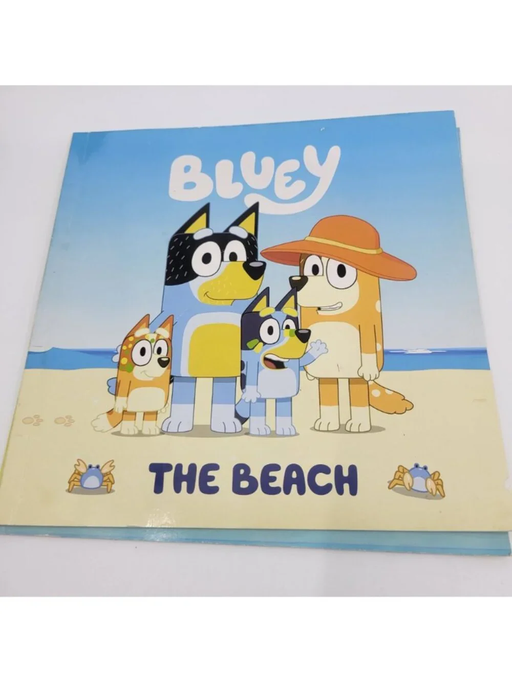 BLUEY Lot of Children's Books - BK314